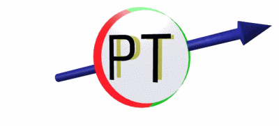 Logo 'Polarisiertes Target'